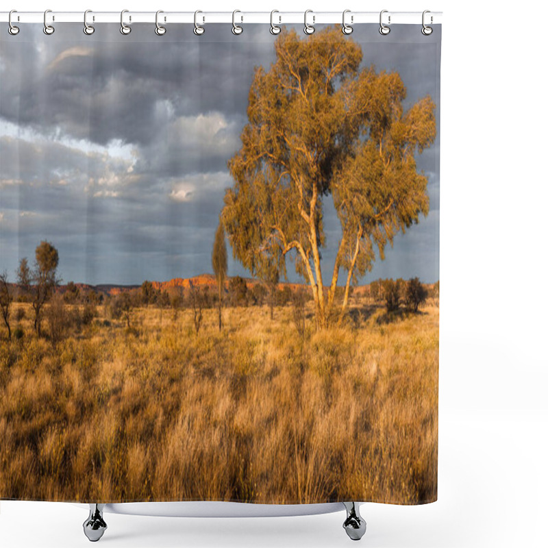 Personality  Scenic View Of Watarrka National Park (Kings Canyon), Central Australia, Northern Territory, Australia Shower Curtains