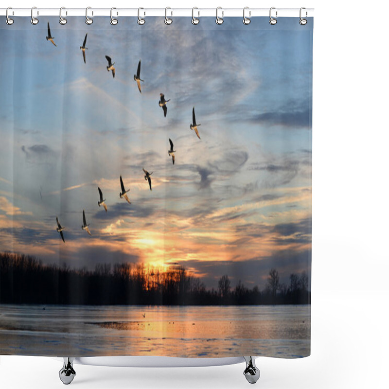 Personality  Canadian Geese Flying In V Formation Shower Curtains