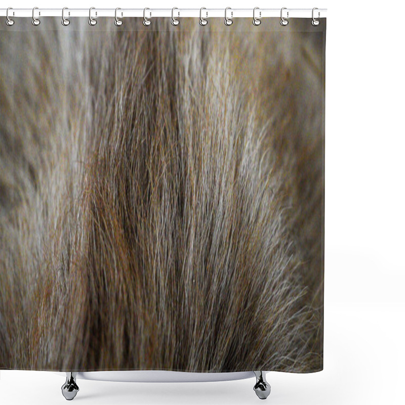 Personality  Background And Texture Of Animal Fur. Extreme Close-up Of Goat's Fur. A Fluffy, Soft Warm Coat Protects This Farm Animal From The Cold. Beautiful Shades Of Grey, Brown, White And Cream Shower Curtains