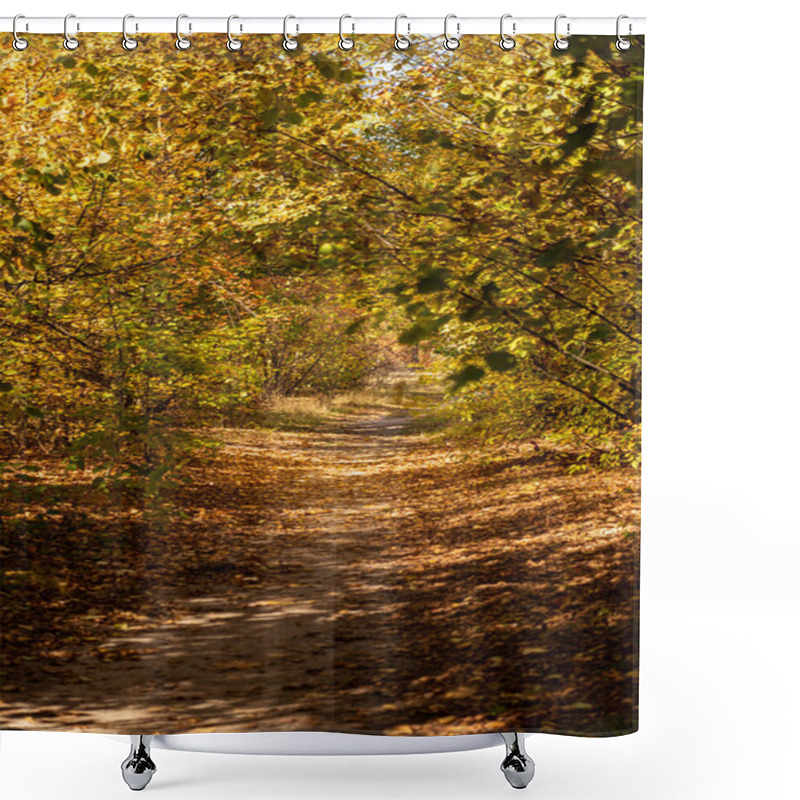 Personality  Scenic Autumnal Forest With Golden Foliage And Pathway In Sunlight Shower Curtains