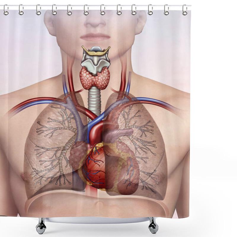 Personality  Human Respiratory Cardio System Shower Curtains