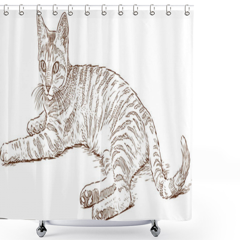 Personality  Sketch Of A Lying Striped Cat Shower Curtains