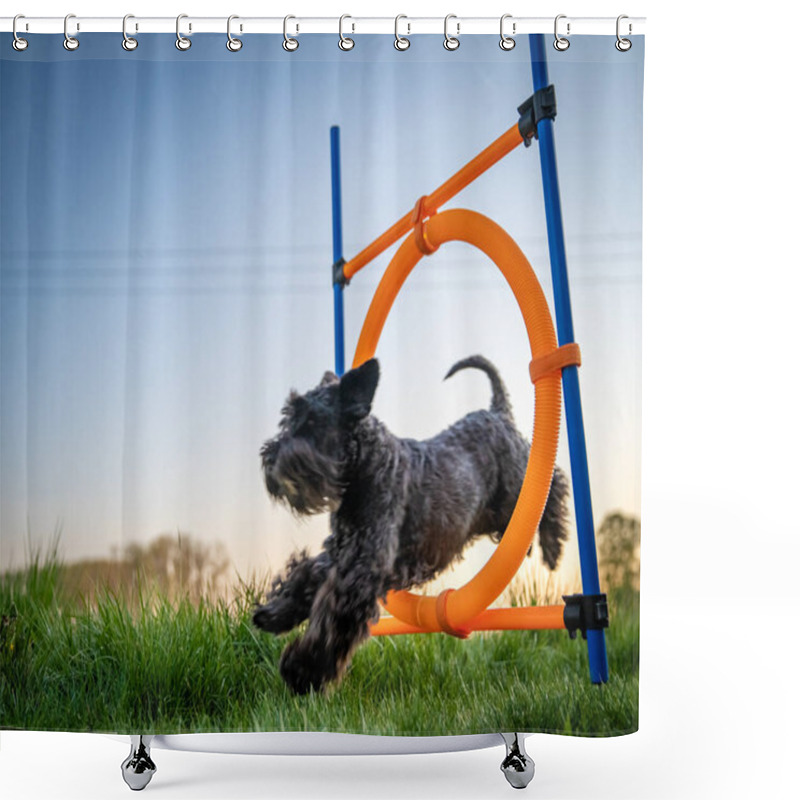 Personality  Little Black Dog On Agility Jumps Over A Circle At Sunset Shower Curtains