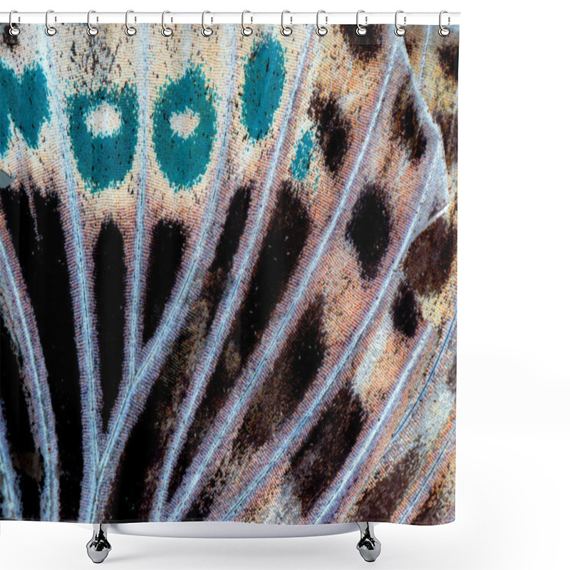 Personality  Moth Butterfly Wing Detail Shower Curtains