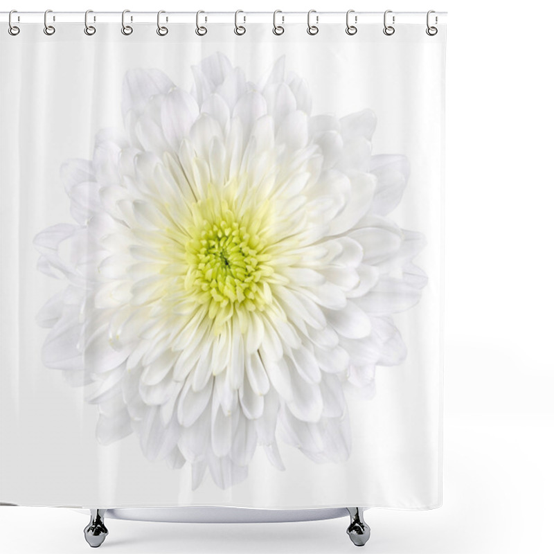 Personality  White Chrysanthemum Flower With Yellow Center Isolated Shower Curtains