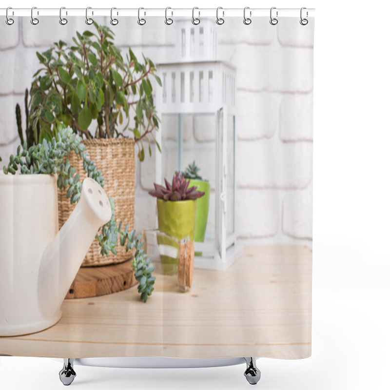 Personality  House Plants In Pots Shower Curtains