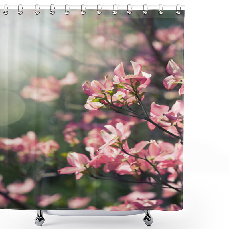 Personality  Spring Blossoming Tree Shower Curtains