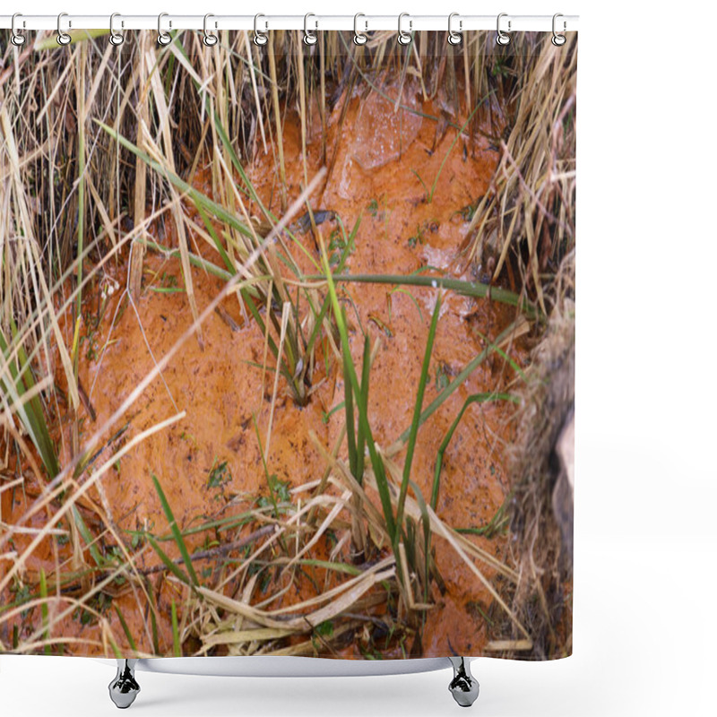 Personality  On The Ground, Among Dry Grass, There Is A Small Puddle With Rusty Red Water. The Color Of The Water Indicates A High Content Of Iron Or Other Minerals. Shower Curtains