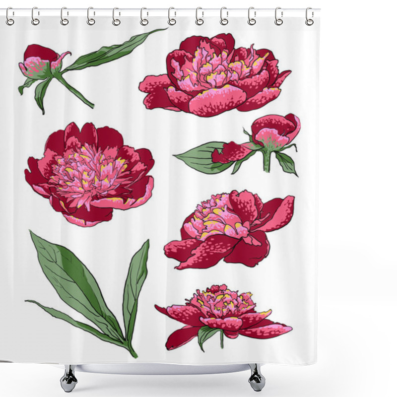 Personality  Hand Drawn Peony Flowers Shower Curtains