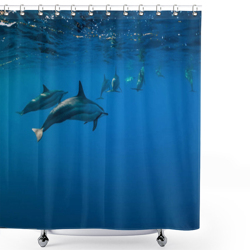 Personality  Dolphins Family Swimming In Indian Ocean Near Mauritius Island Shower Curtains