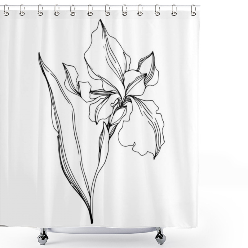 Personality  Vector Iris Floral Botanical Flowers. Black And White Engraved I Shower Curtains