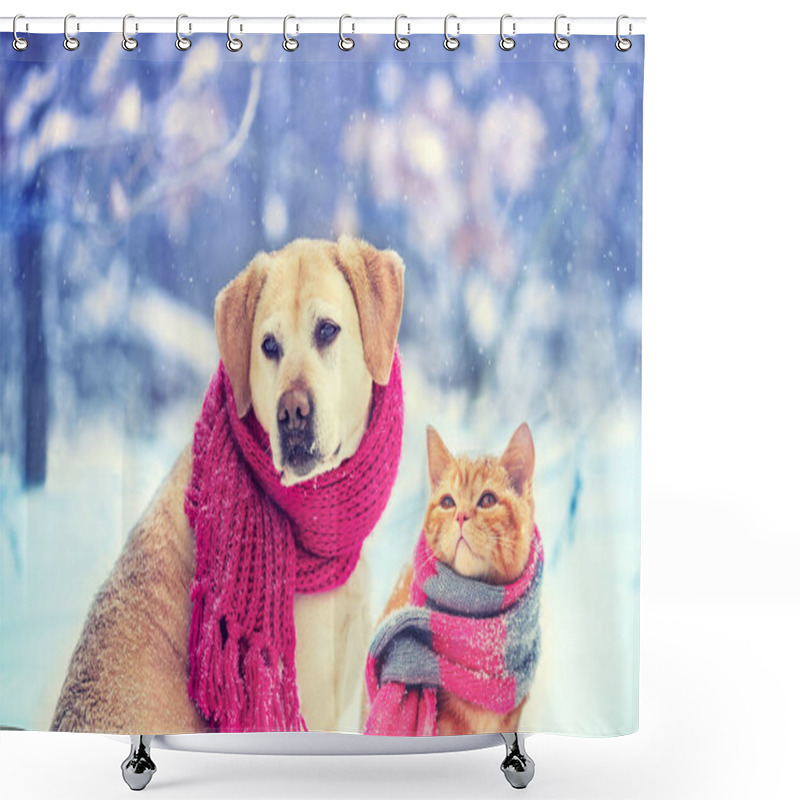 Personality  Dog And Cat Wearing Knitted Scarf Sitting Together Outdoors In The Snow In Winter. Christmas Scene Shower Curtains