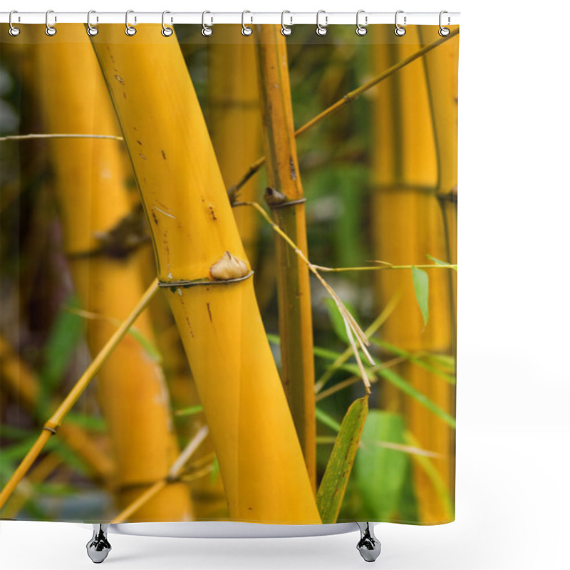 Personality  Bamboo Shower Curtains