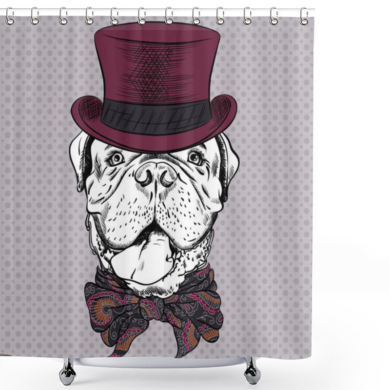 Personality  Vector Funny Cartoon Hipster Dog French Mastiff Shower Curtains