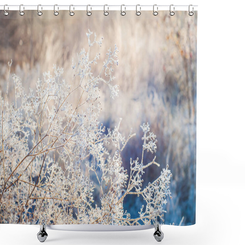 Personality  The Dried Grass Is Covered With Frost Like Light Clouds In The Backlight Of The Morning Sun. Winter Sunrise Frost Concept Shower Curtains