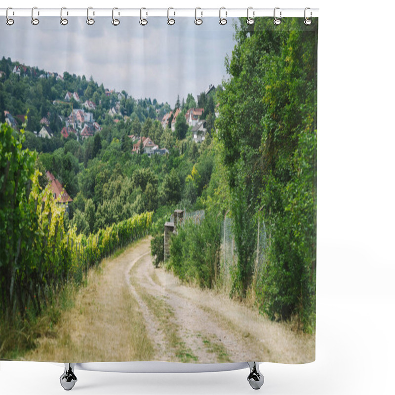 Personality  Rural Road To Village And Vineyard With Trees On Sides In Wurzburg, Germany Shower Curtains