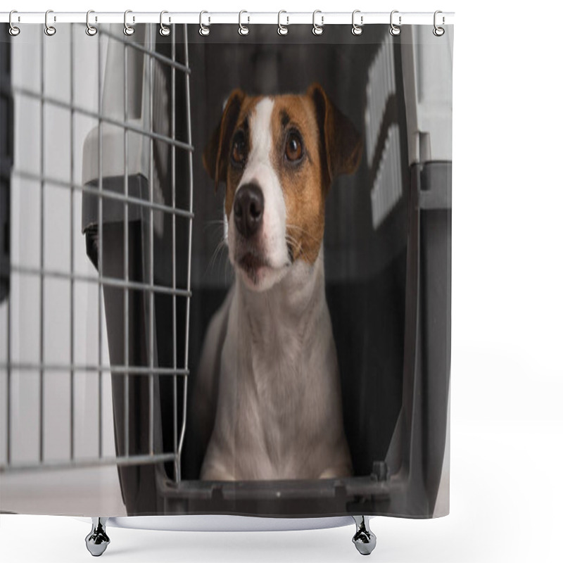 Personality  Jack Russell Terrier Dog Inside A Cage For Safe Transportation With Open Door Shower Curtains