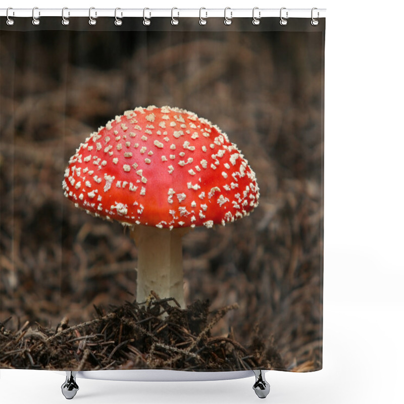 Personality  Fly-agaric Shower Curtains