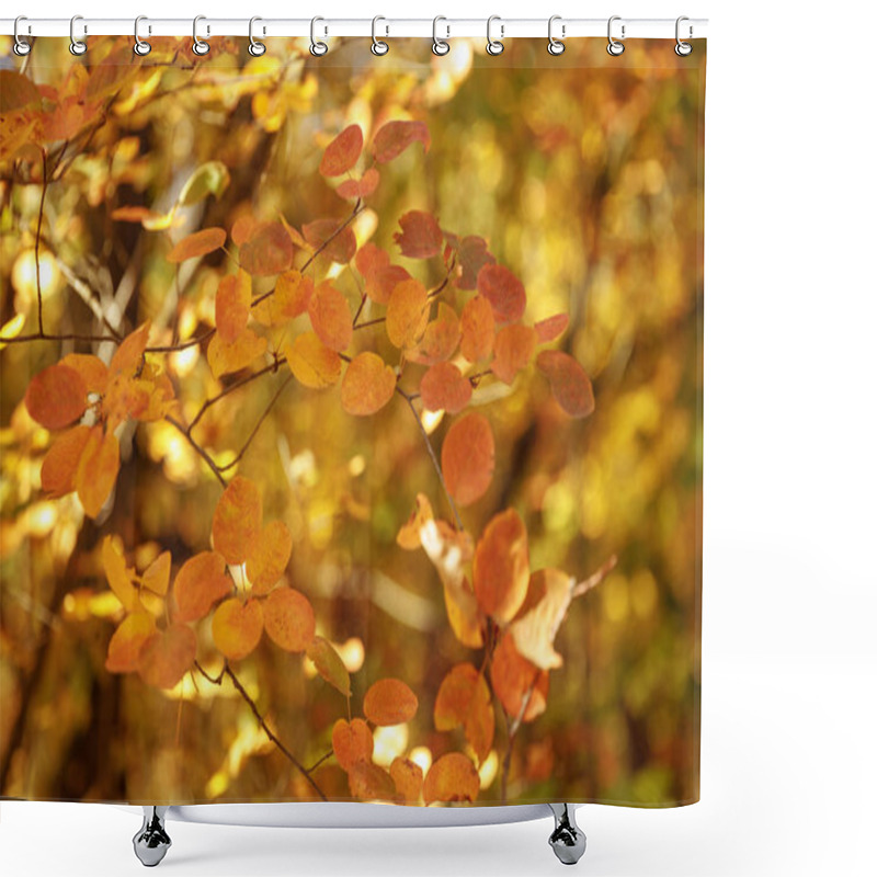 Personality  Selective Focus Of Trees With Yellow Leaves In Autumnal Park At Day  Shower Curtains