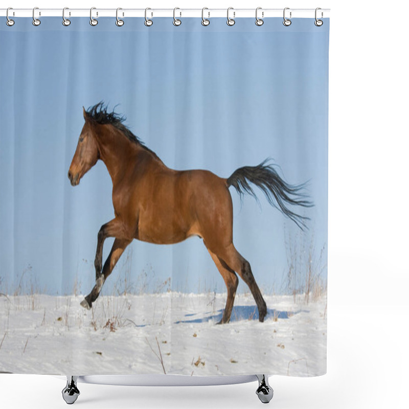 Personality  Brown Horse Running Through Snowy Meadow Shower Curtains