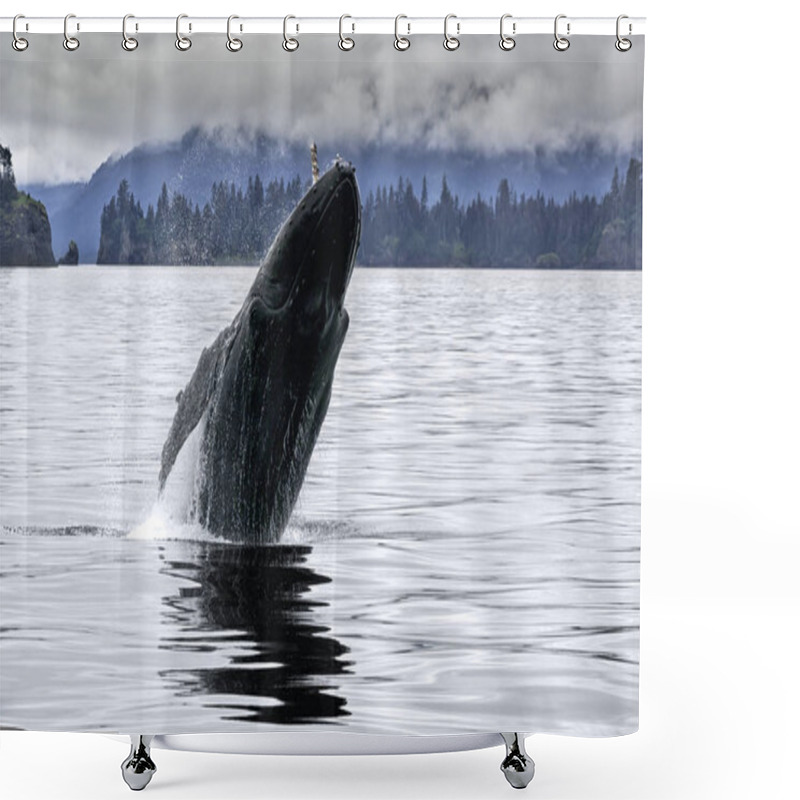 Personality  Big Whale Breaching In The Alaskan Ocean Shower Curtains