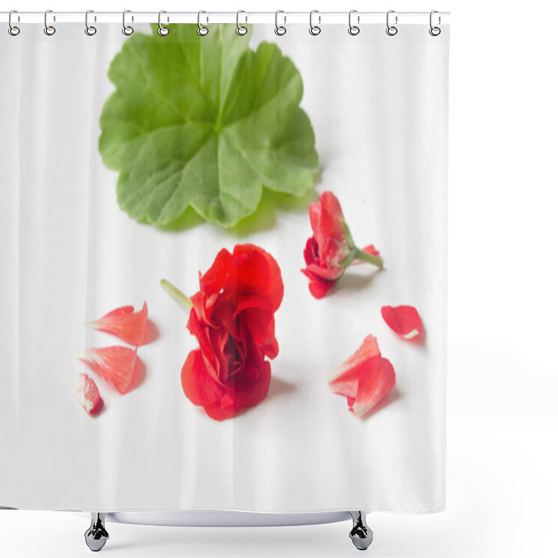 Personality  Rosebud Pelargonium. Red Heranium, Known As Pelargonium, Flowers Close-up On White Background. Shower Curtains