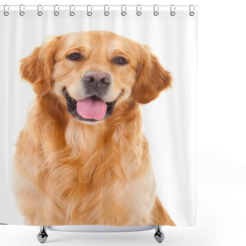 Personality  Golden Retriever Dog Sitting On Isolated White Shower Curtains