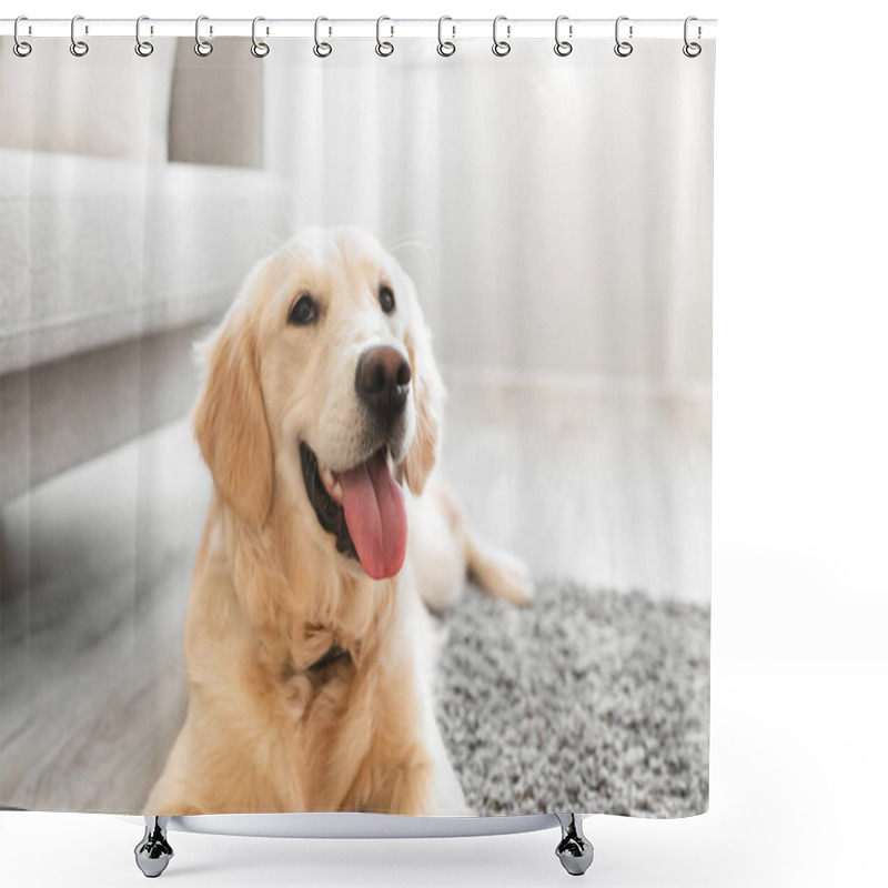 Personality  Portrait Of Cute Dog Lying On The Floor Shower Curtains