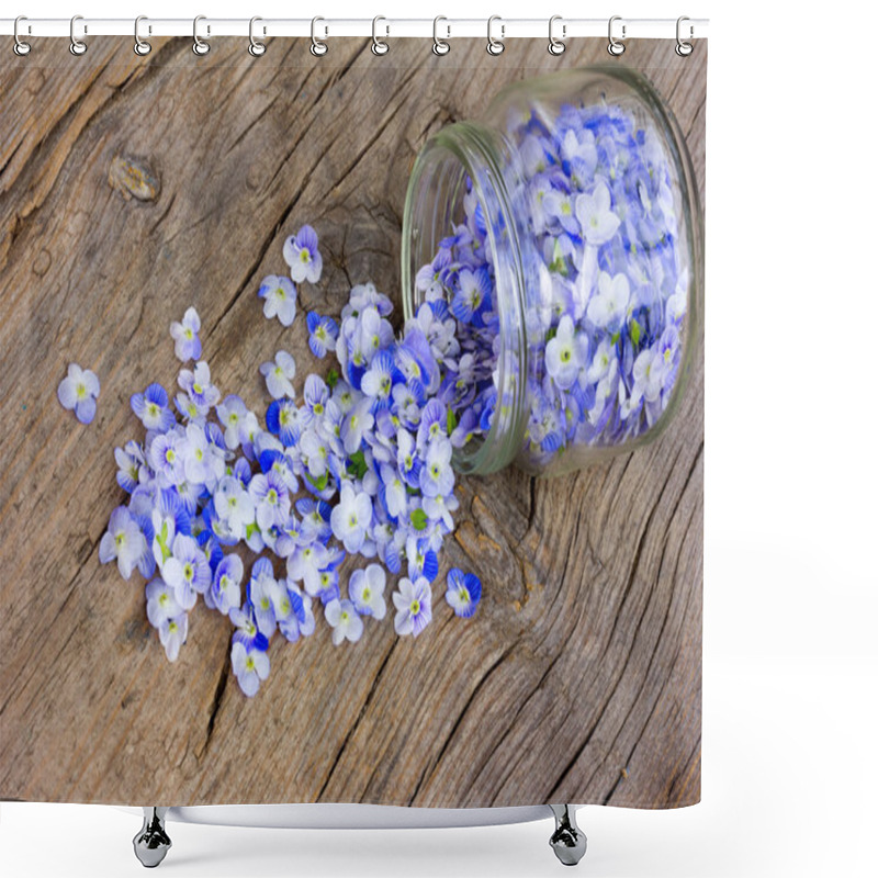 Personality  Pale Blue Flower Petals Rained Down From The Glass Jars On An Old Wooden Board In The Cracks. Close-up, Selective Focus Shower Curtains