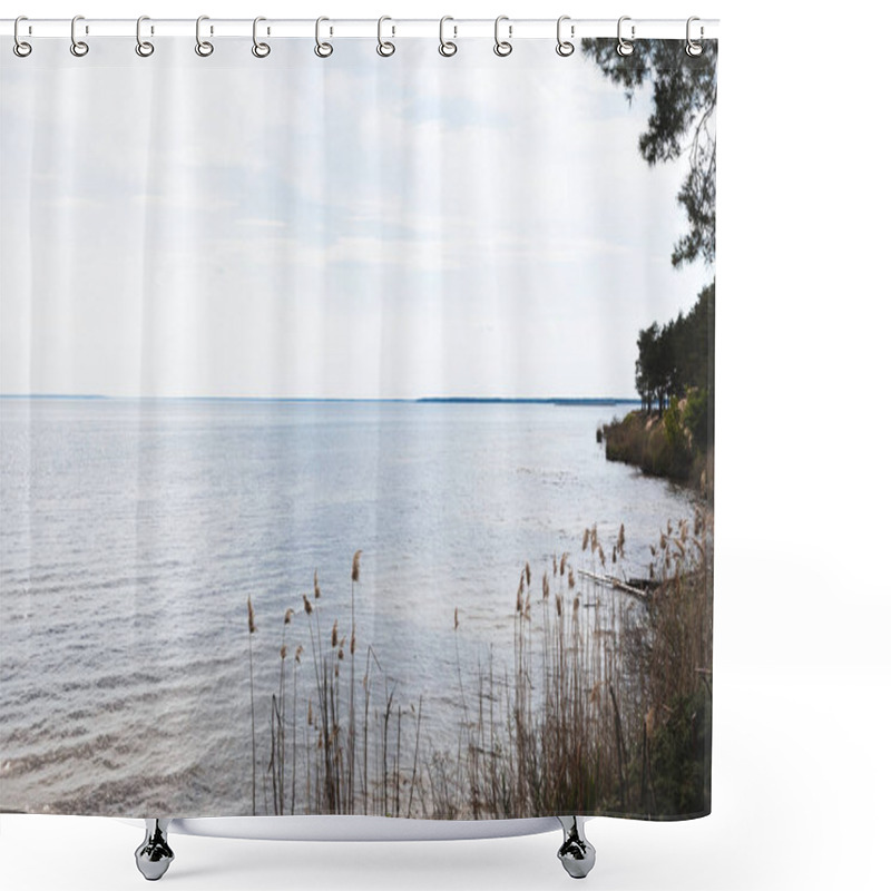 Personality  Reeds Near Blue Lake Against Sky With Clouds  Shower Curtains