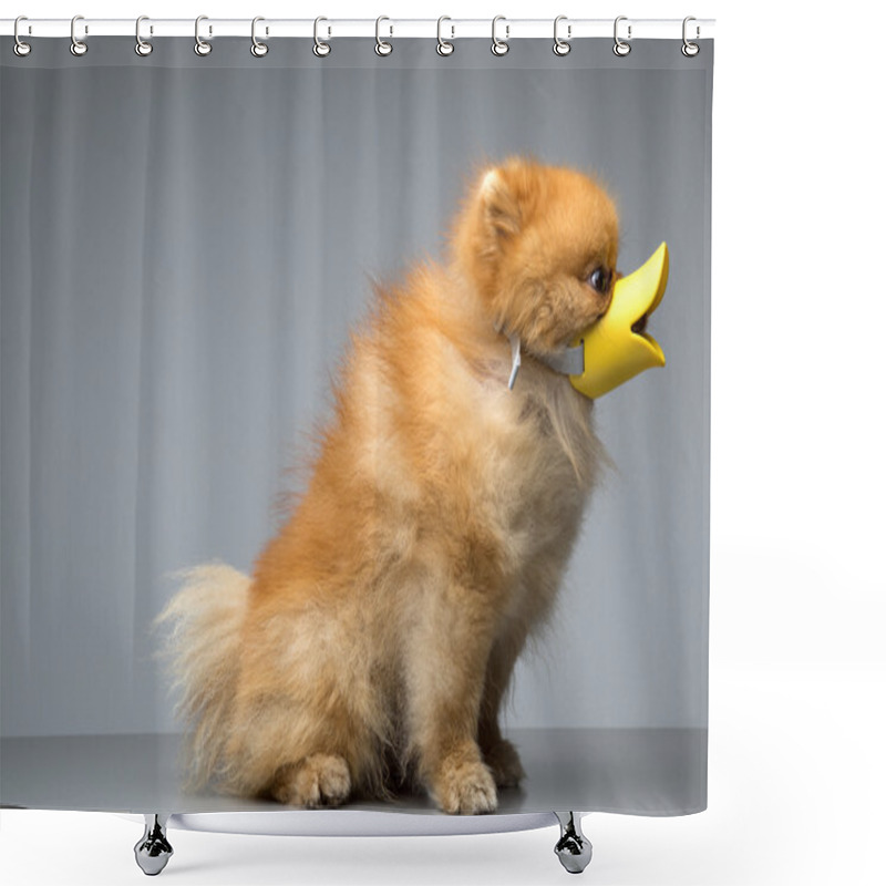 Personality  Dog Breed The Spitz Dressed Duck Shower Curtains