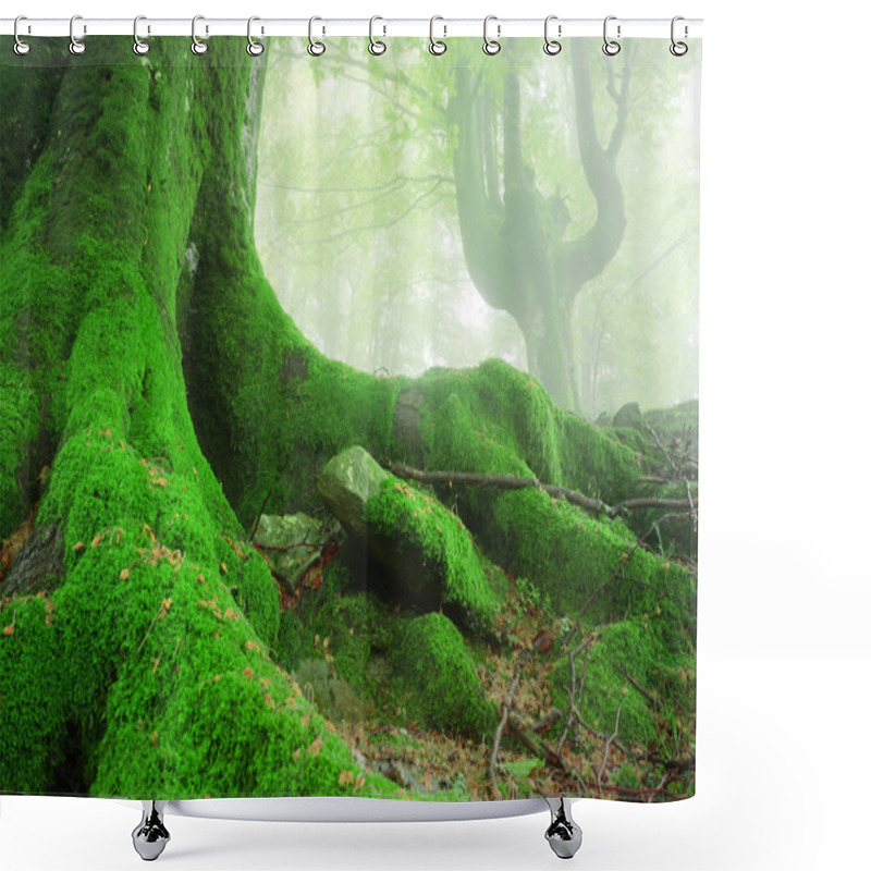 Personality  Tree Roots With Moss On Forest Shower Curtains