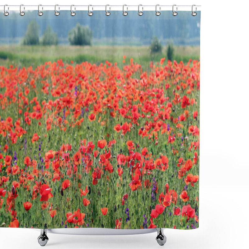 Personality  Poppy Flowers Field Rural Landscape Shower Curtains