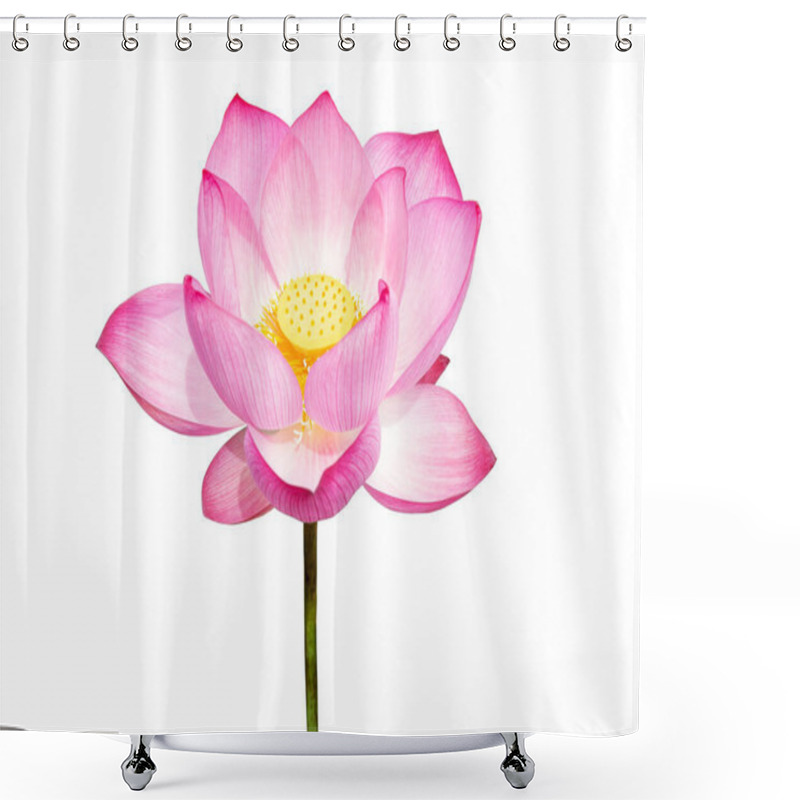 Personality  Lotus Flower Isolated On White Background. File Contains With Clipping Path So Easy To Work.Lotus Flower Isolated On White Background. File Contains With Clipping Path So Easy To Work. Shower Curtains