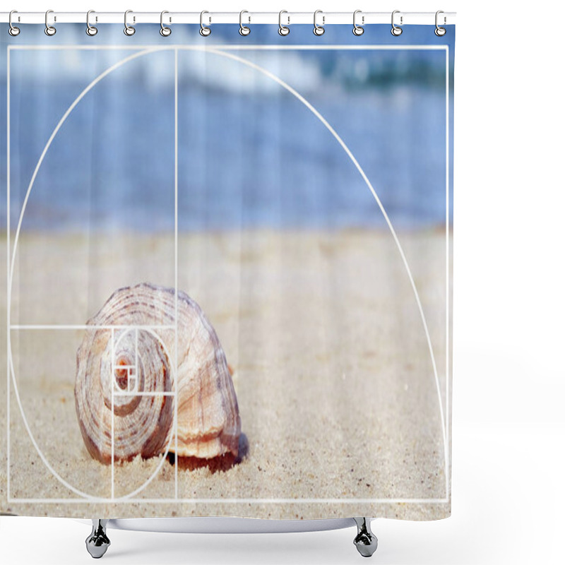 Personality  Fibonacci Spiral And Seashell On Sandy Beach. Golden Ratio Concept  Shower Curtains