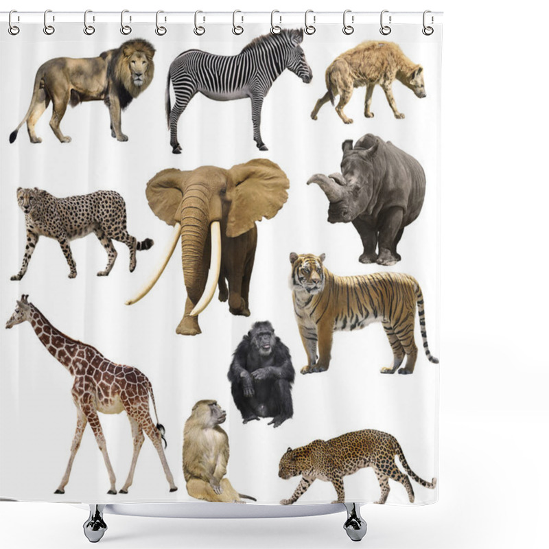 Personality  African Animals Set Isolated On White Background Shower Curtains