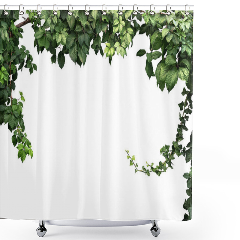 Personality  Frame Of The Climbing Plant Isolated On White Background Shower Curtains