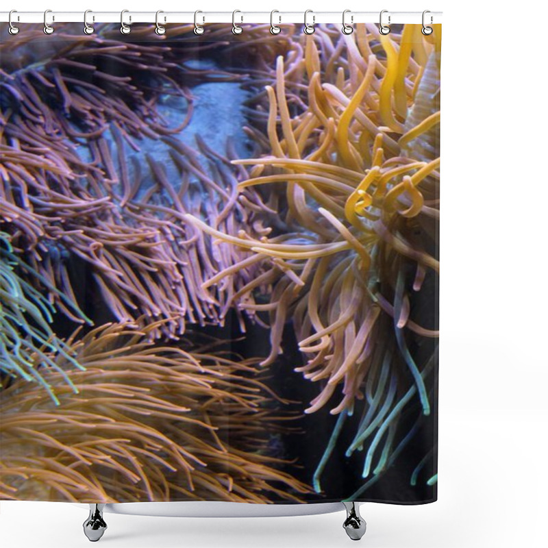 Personality  Underwater Scene Featuring Vibrant, Flowing Sea Anemones In Pastel Hues. Shower Curtains