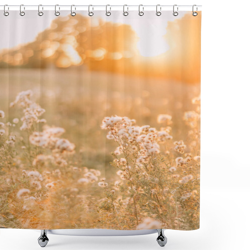 Personality  Dry Grass Flower With Sun Light, Close Up. Beautiful Summer Day In The Field Shower Curtains