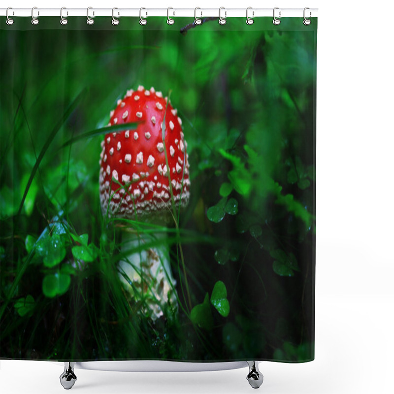 Personality  Toadstool In The Dark Forest Shower Curtains