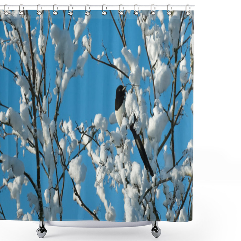 Personality  Magpie In Snow Shower Curtains