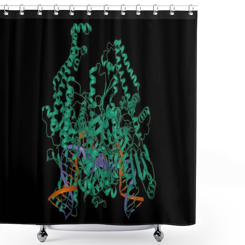 Personality  Structure Of The Topoisomerase II - DNA Complex, 3D Cartoon Model, Black Background Shower Curtains