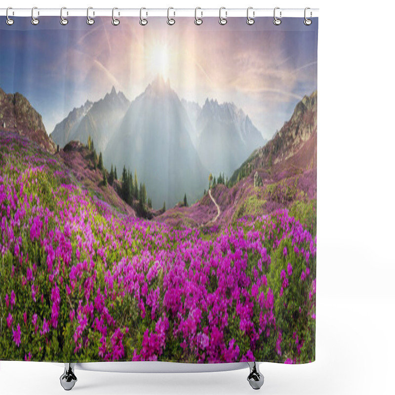 Personality  Alpine Rhododendrons On The Mountain Fields Of Chamonix Shower Curtains