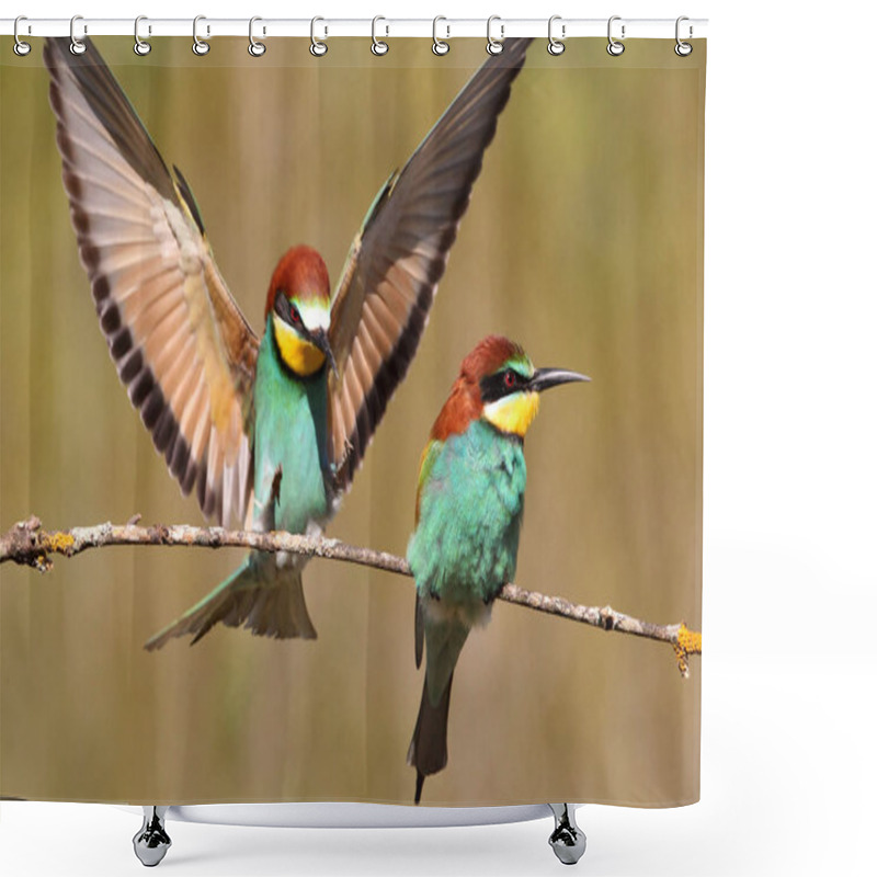 Personality  European Bee-eater, Merops Apiaster Shower Curtains