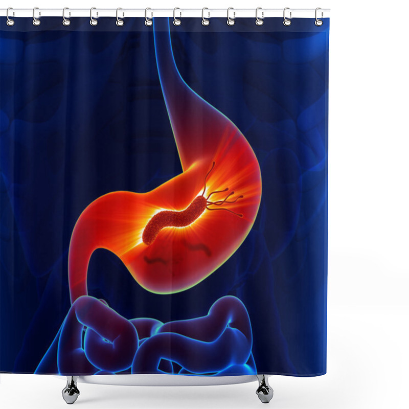 Personality  Helicobacter Pylori - Stomach Shower Curtains