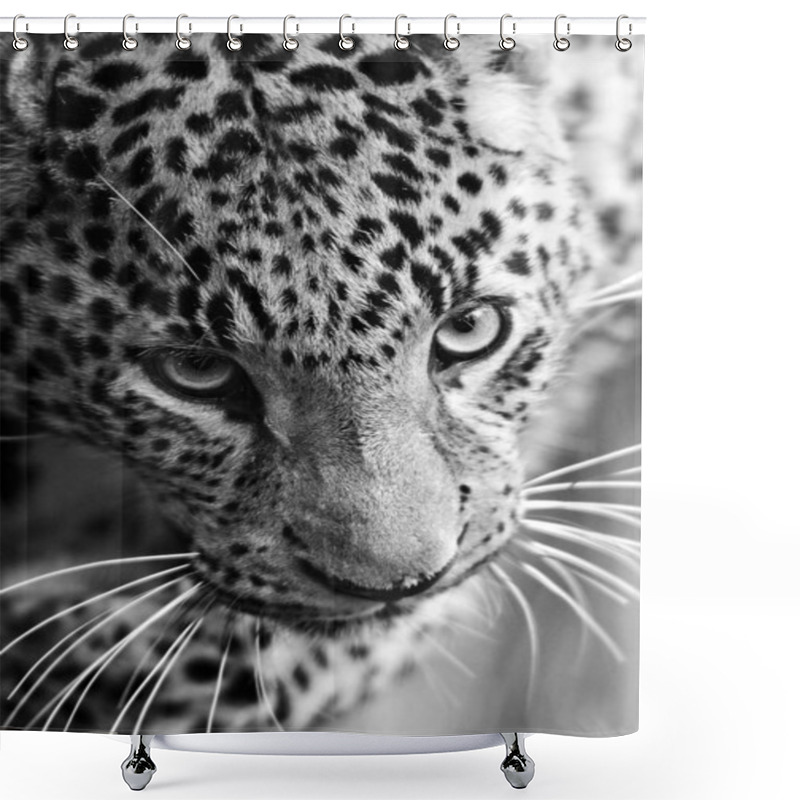 Personality  Leopard Shower Curtains