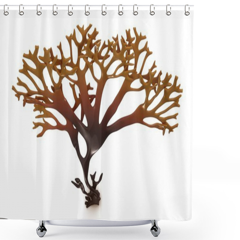 Personality  Chondrus, Irish Moss Shower Curtains