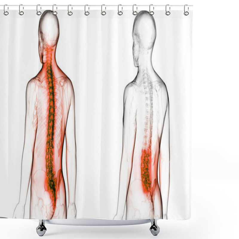 Personality  Vertebral Column Of Human Skeleton System Anatomy. 3D Shower Curtains