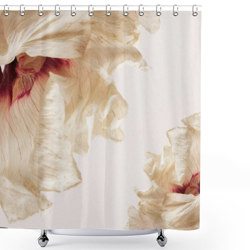 Personality  Natural Dried Flower Floral Background Shower Curtains