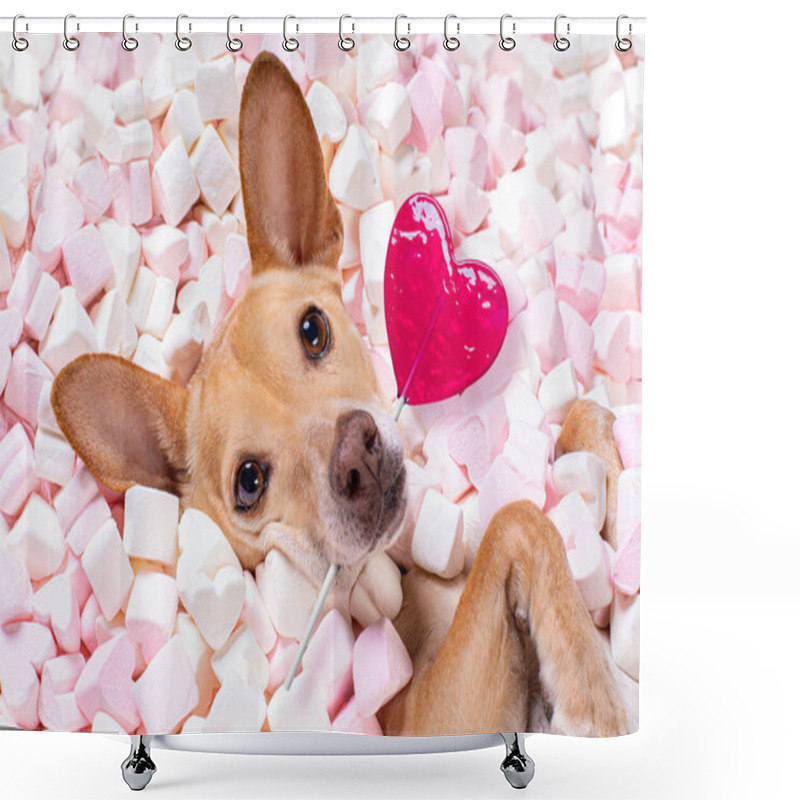 Personality  Chihuahua Dog Looking And Staring At You   ,while Lying On Bed Full Of Marshmallows As Background  , In Love, Pink Lolly Or Lollypop Shower Curtains